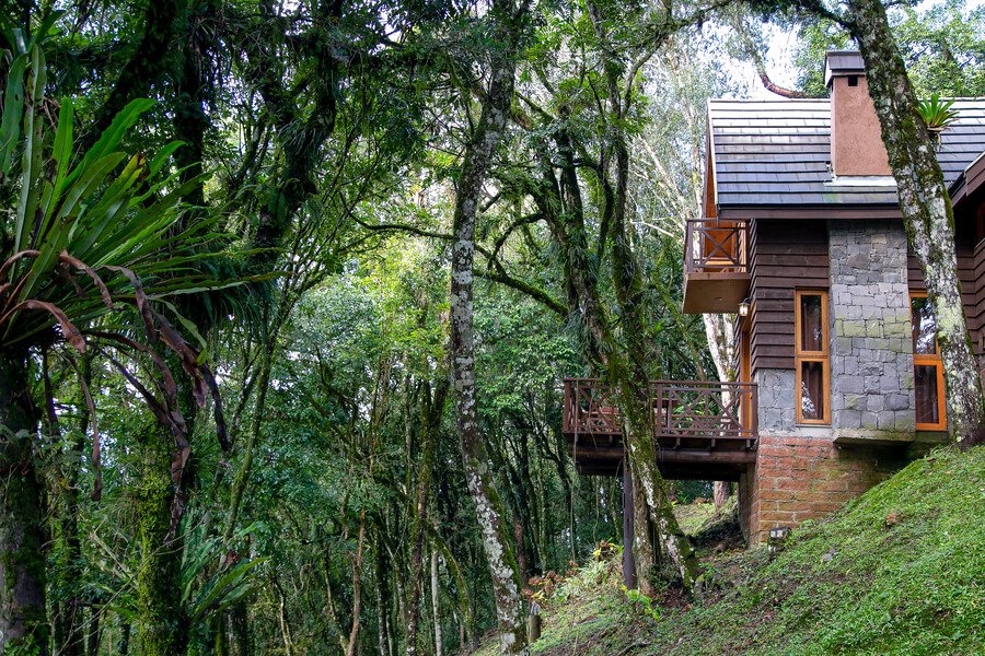 Forest cabin surrounded by lush Guatemalan nature